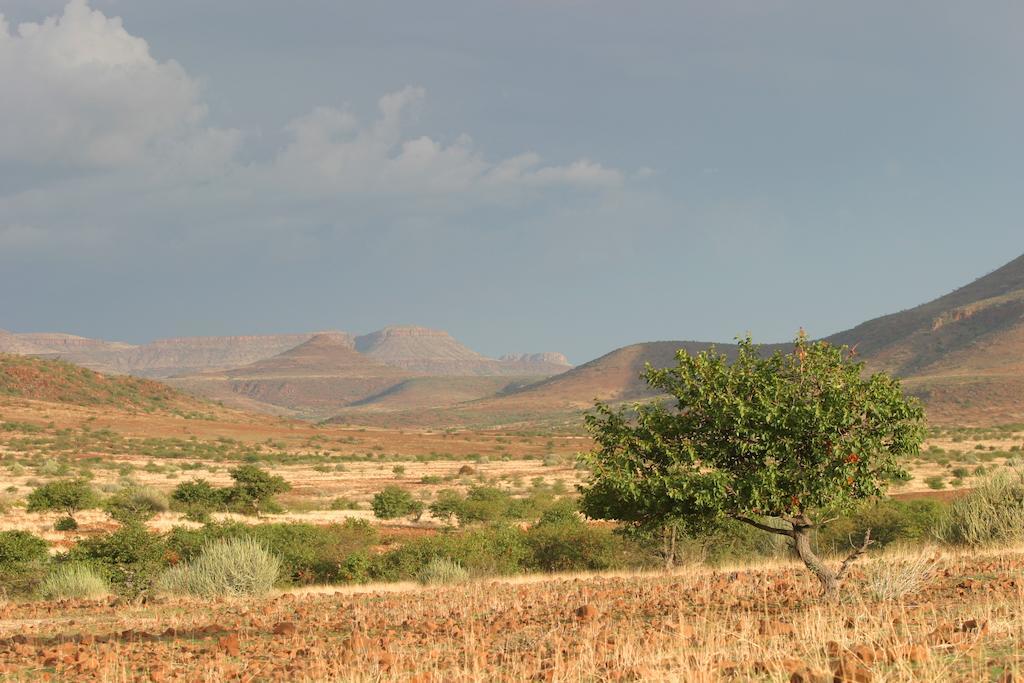 Etendeka Mountain Camp Дамараленд Екстериор снимка